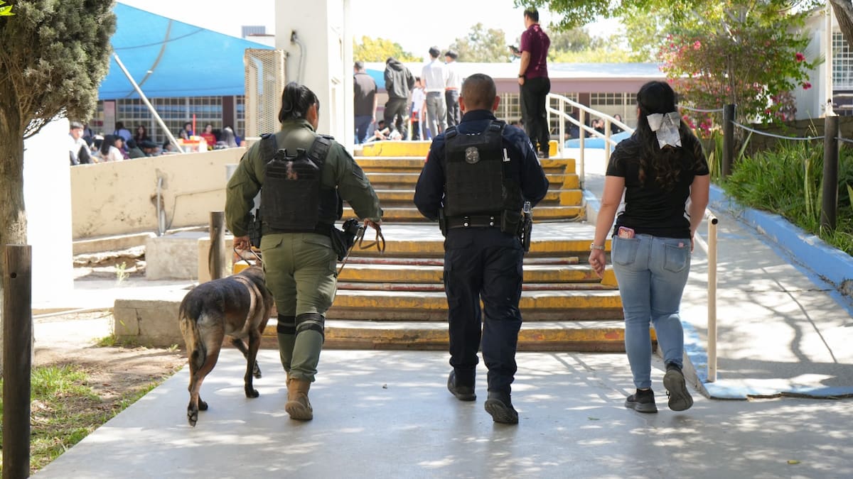 De octubre de 2024 a junio 2025, se han realizado 84 intervenciones en escuelas primarias, secundarias y preparatorias.