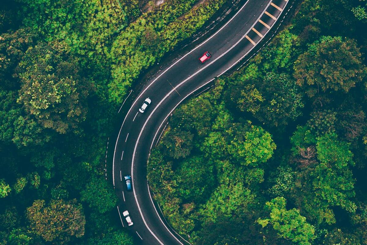 Finanzas sustentables: ¿Por qué invertir en ellas beneficia tu bolsillo y al planeta?