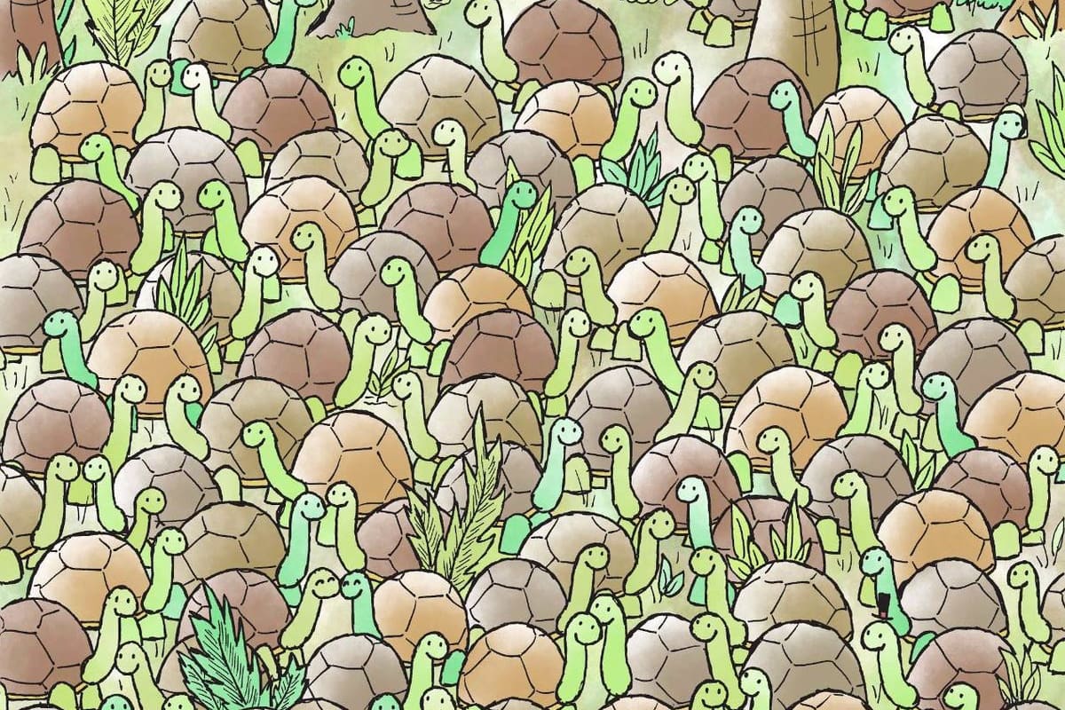 Reto visual: encuentra a la serpiente escondida entre las tortugas