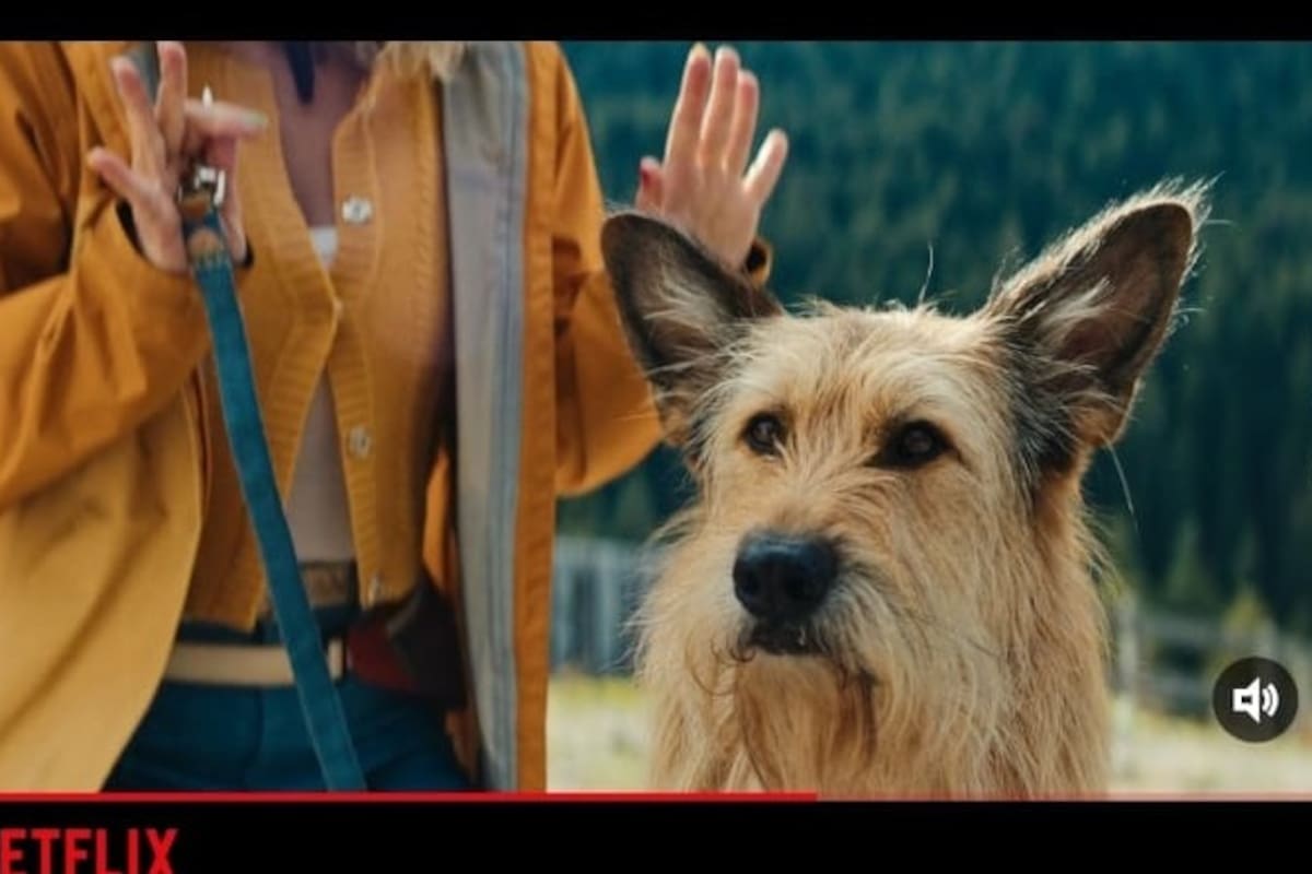 ¿Vale la pena “Comer, Rezar y Ladrar”? La nueva película de Netflix