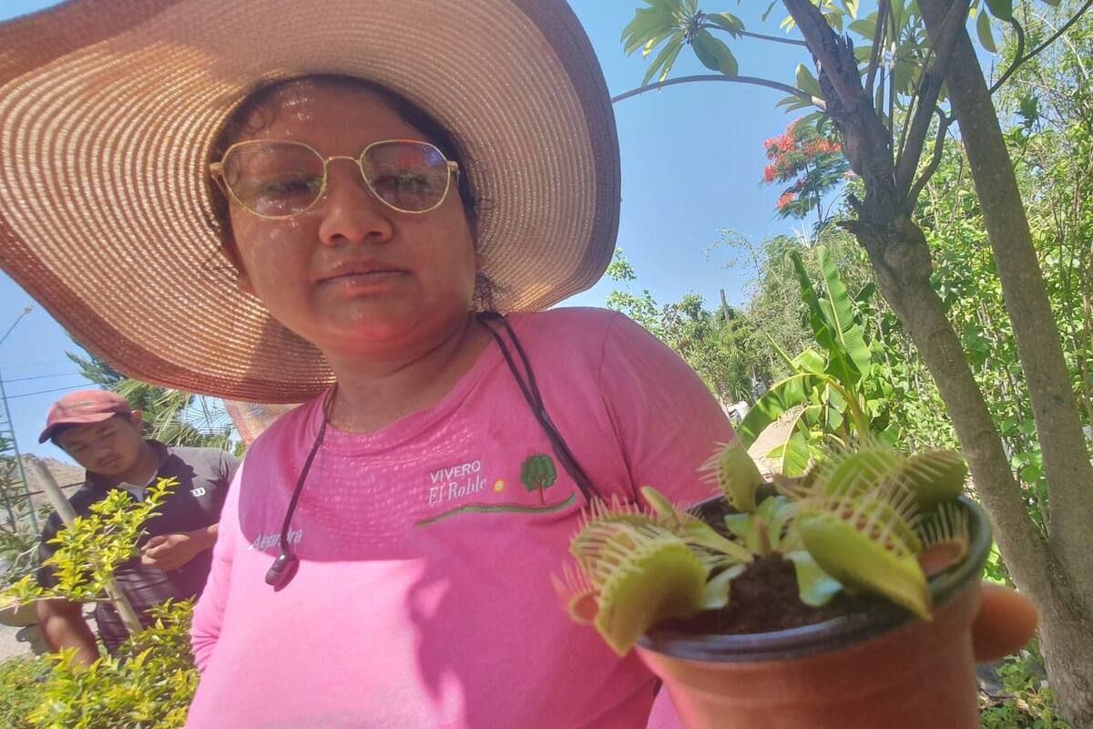 Vende plantas carnívoras a domicilio