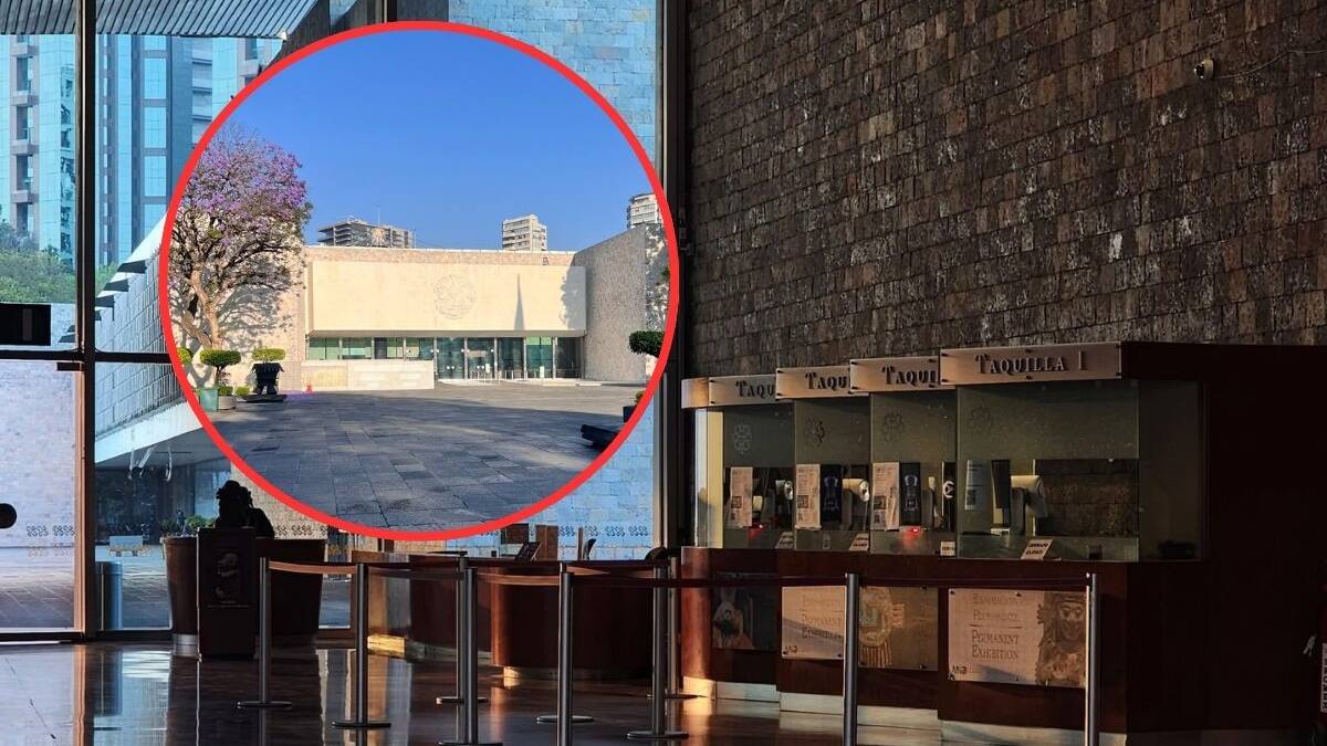 ¿Qué pasó hoy en el Museo Nacional de Antropología de la CDMX? Trabajador de mantenimiento fallece al caer de una escalera mientras podaba árboles