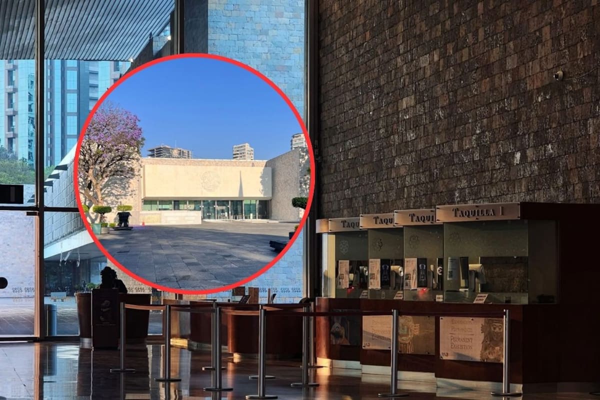 ¿Qué pasó hoy en el Museo Nacional de Antropología de la CDMX? Trabajador de mantenimiento fallece al caer de una escalera mientras podaba árboles
