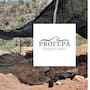 Profepa clausura dos predios por extracción de oro sin autorización ambiental en Sonora; uno se ubica en Cucurpe