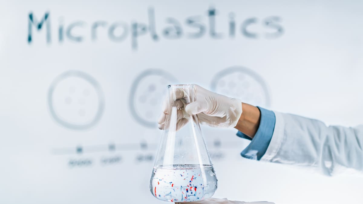 Los microrrobots utilizan campos magnéticos para desplazarse y localizar partículas de plástico. Foto: Canva