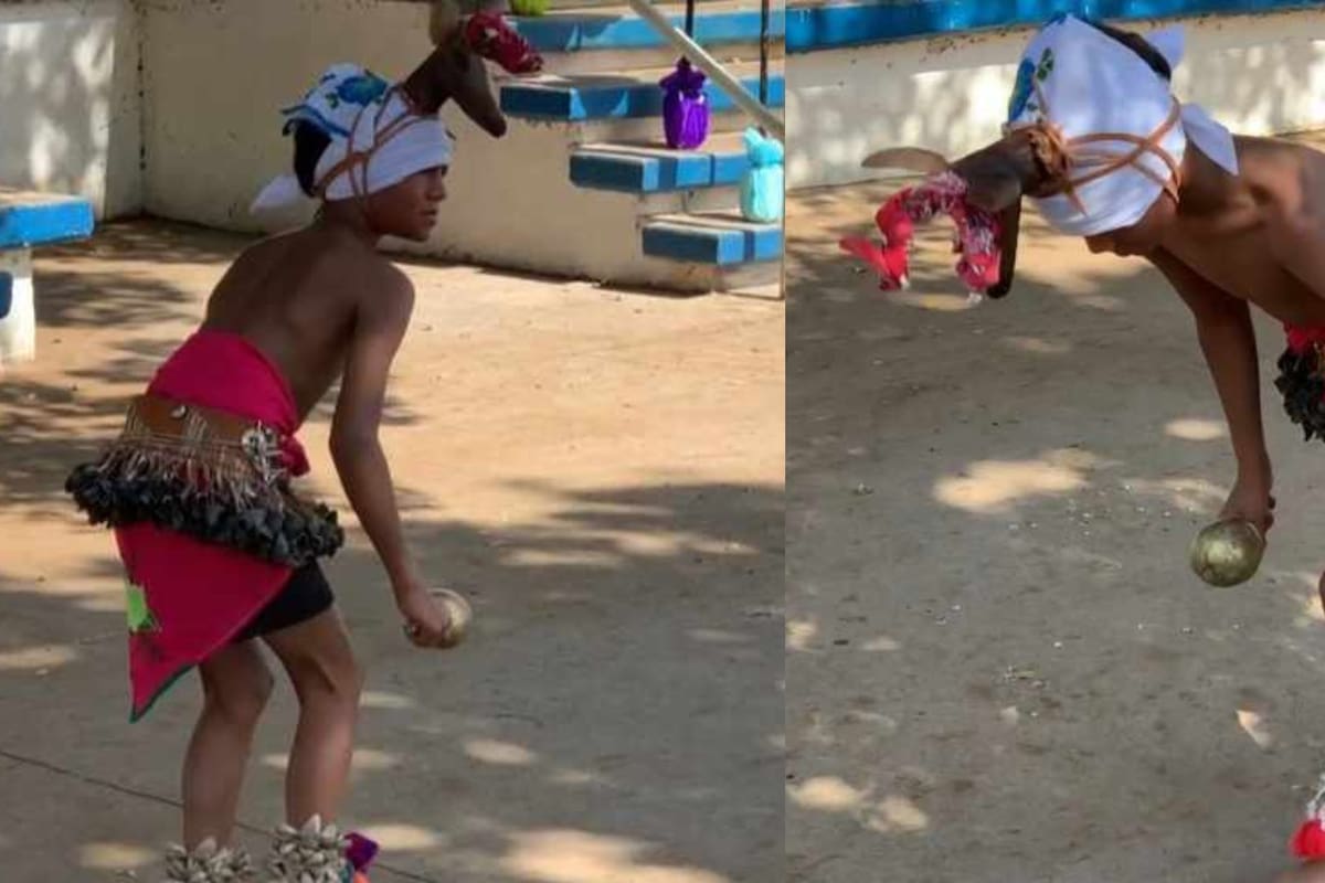 Representa con amor y respeto la danza del venado