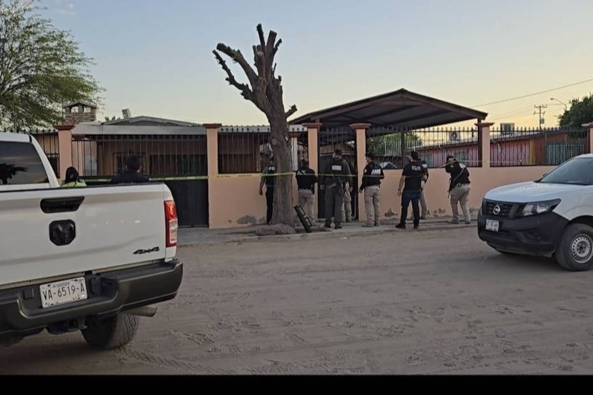 Abandono termina en tragedia; un perro muere y otro es rescatado en casa de SLRC