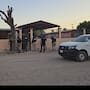 Abandono termina en tragedia; un perro muere y otro es rescatado en casa de SLRC