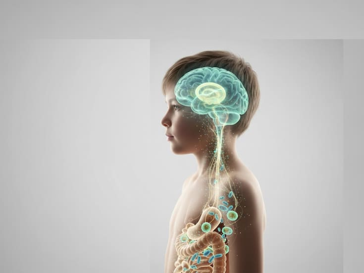 Científicos revelan que el TDAH, el autismo y la anorexia podrían estar relacionados con alteraciones en la microbiota intestinal, según un nuevo estudio publicado por Scientific Reports