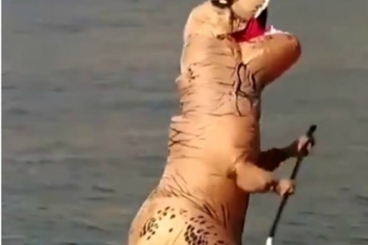 Aparece un dinosaurio en una playa de Italia
