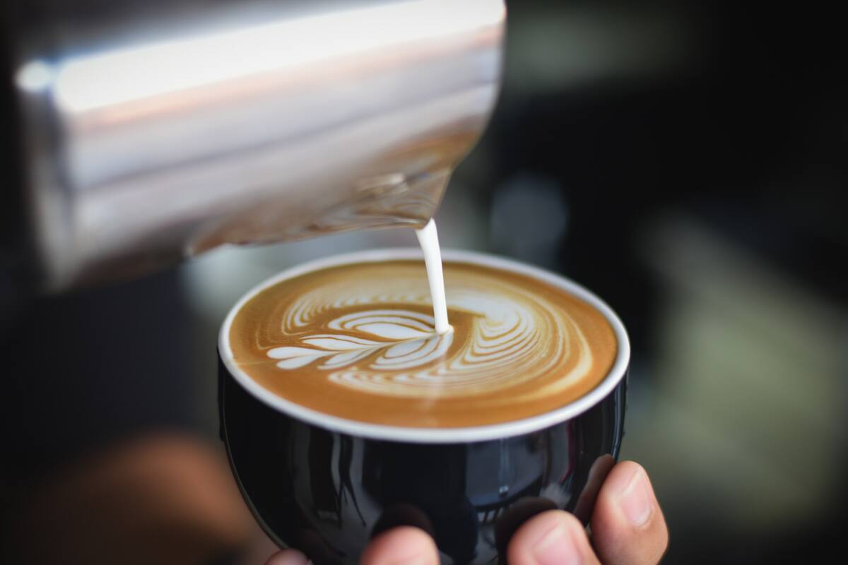 El café ayuda a estimular las bacterias intestinales, según nuevos estudios