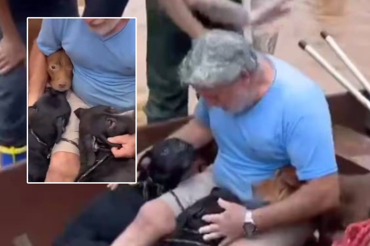 Hombre arriesga su vida para salvar a sus perritos de las inundaciones en Brasil