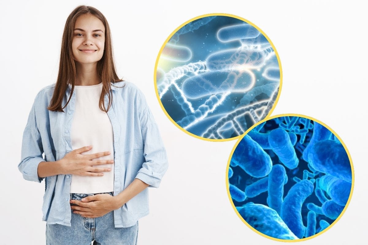 Prebióticos y probióticos: qué son, en qué se diferencian y cómo ayudan a tu sistema digestivo