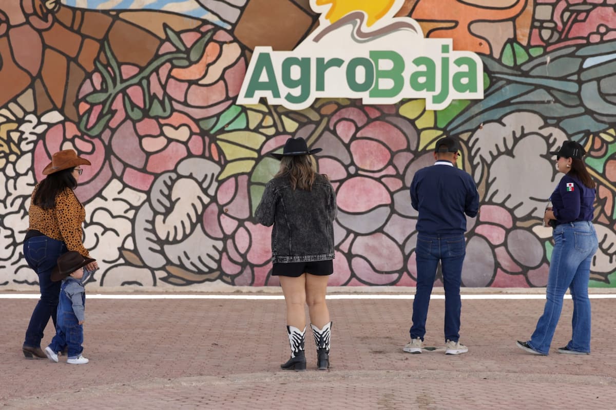 AgroBaja 2026 perfila cierre con cerca de 47 mil asistentes en su edición 25