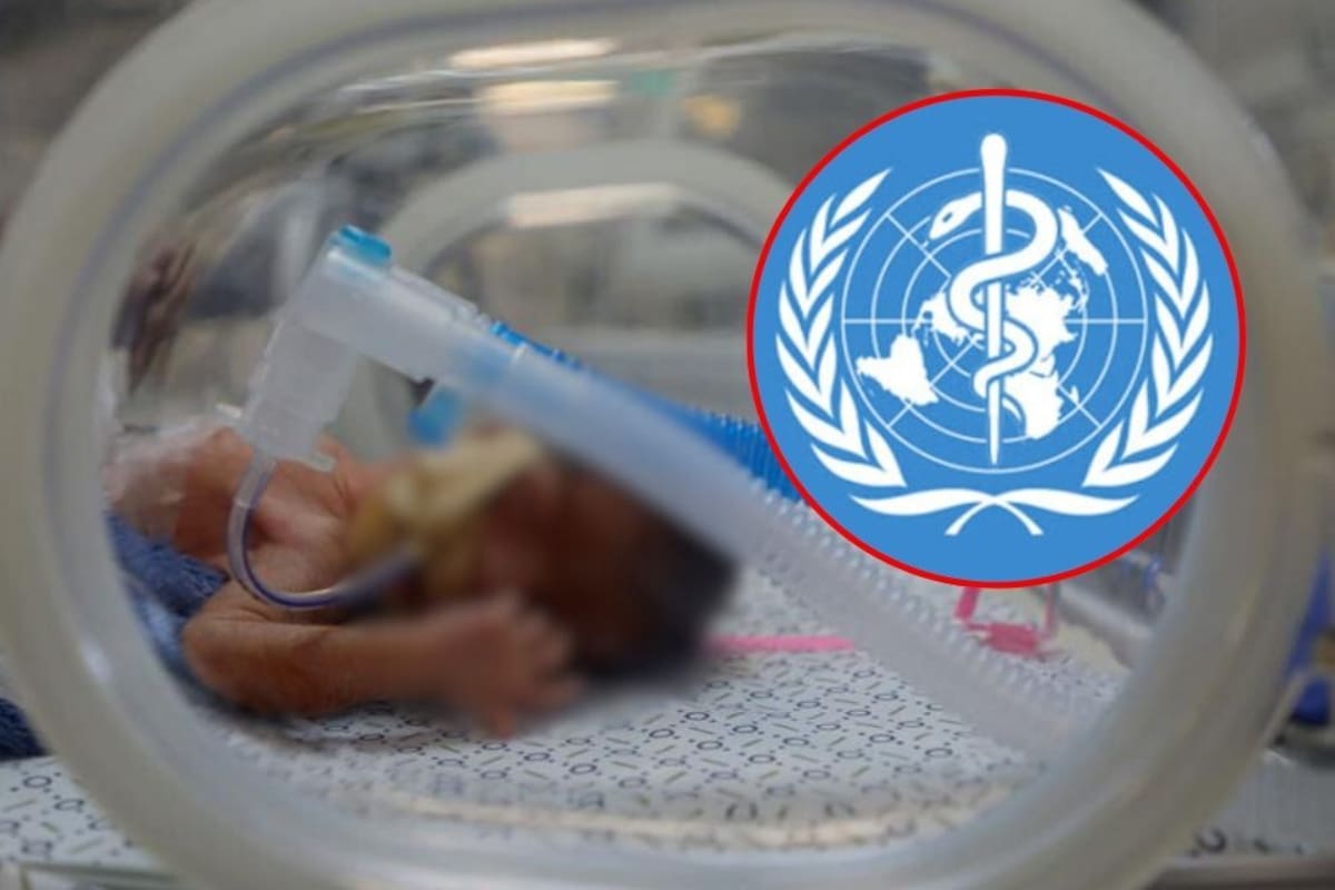 Más de mil pacientes murieron en Gaza mientras esperaban evacuación médica: la OMS advierte subregistro, hospitales a media operación y riesgos por el invierno