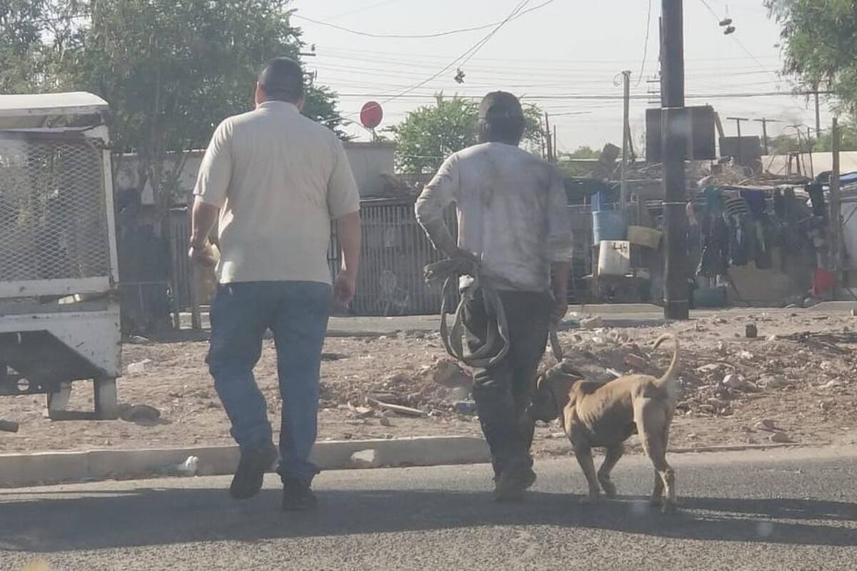 Madre e hija heridas por ataque de perro en la colonia Hidalgo