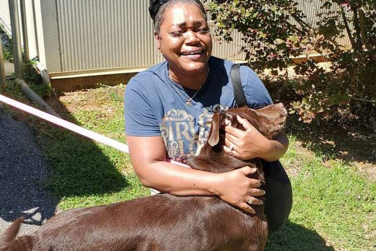 La reacción de un perrito al encontrarse con su dueña luego de dos años perdido