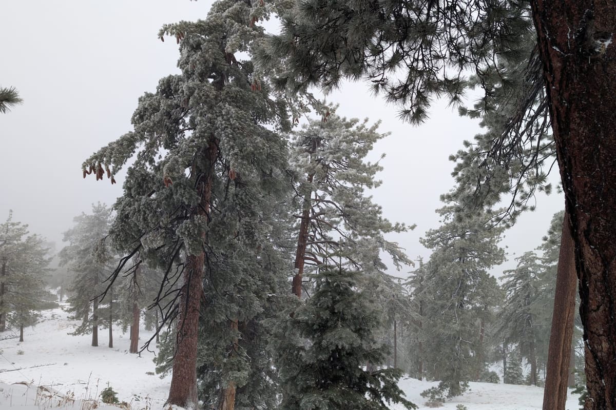 Sin daños mayores por lluvias en Ensenada; reportan nieve en sierras