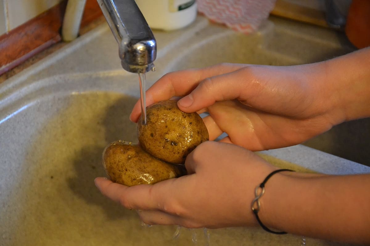 Desinfecta los alimentos para evitar infecciones por bacterias.