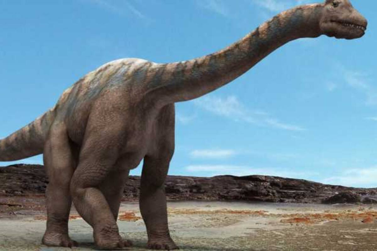 Encuentran fósil de dinosaurio de más de 500 kilos en Francia