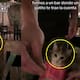 Jóvenes graban el momento en que un gatito les lleva la cuenta en un restaurante