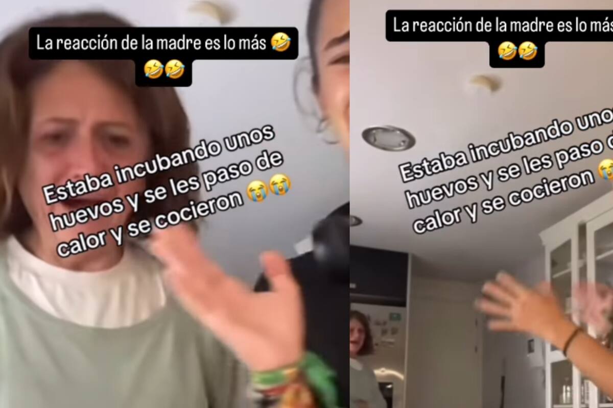 “¡Están cocidos, mamá, están cocidos!”: madre e hija se vuelven virales al intentar incubar unos huevos que, por error, terminaron sobrecocidos