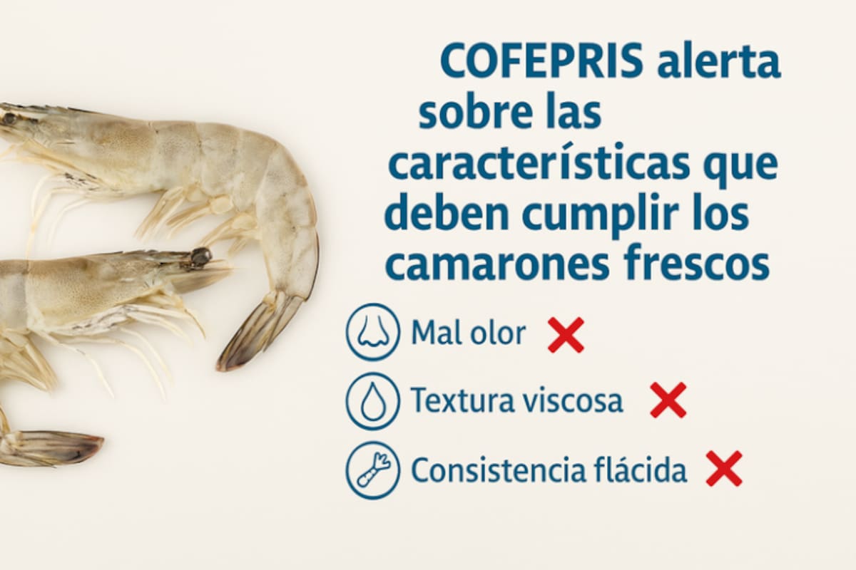 Cuaresma: COFEPRIS emite recomendaciones para comprar camarones frescos