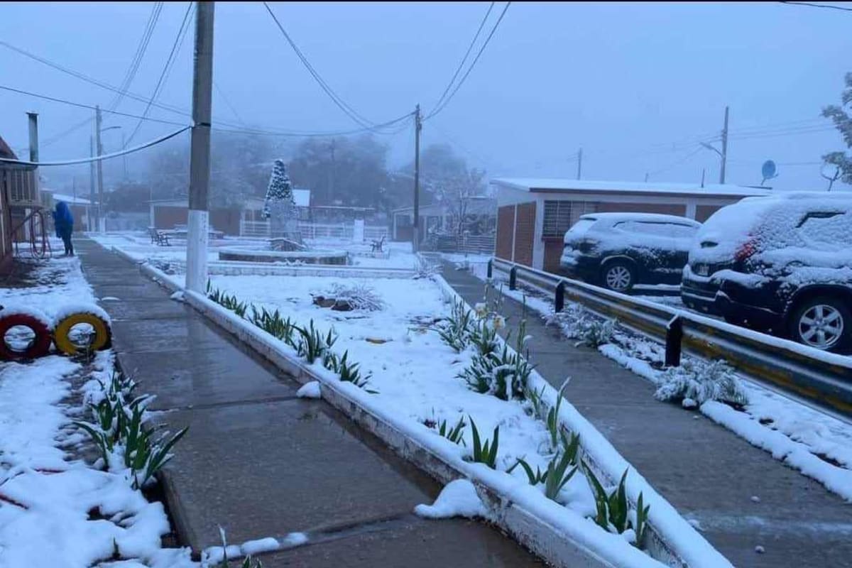 Intensa nevada en Mesa Tres Ríos tras paso de la octava tormenta invernal por Sonora