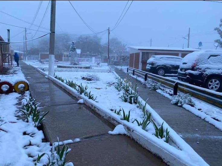 Lluvias y posibles nevadas activan alerta en Sonora: revisa en qué municipios se esperan