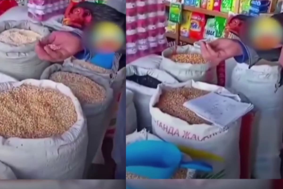 “Llevó a una gallina a una degustación de comida por el mercado” Como sus gallinas no querían comer, decidió llevar a una de ellas como representante y el video se volvió viral