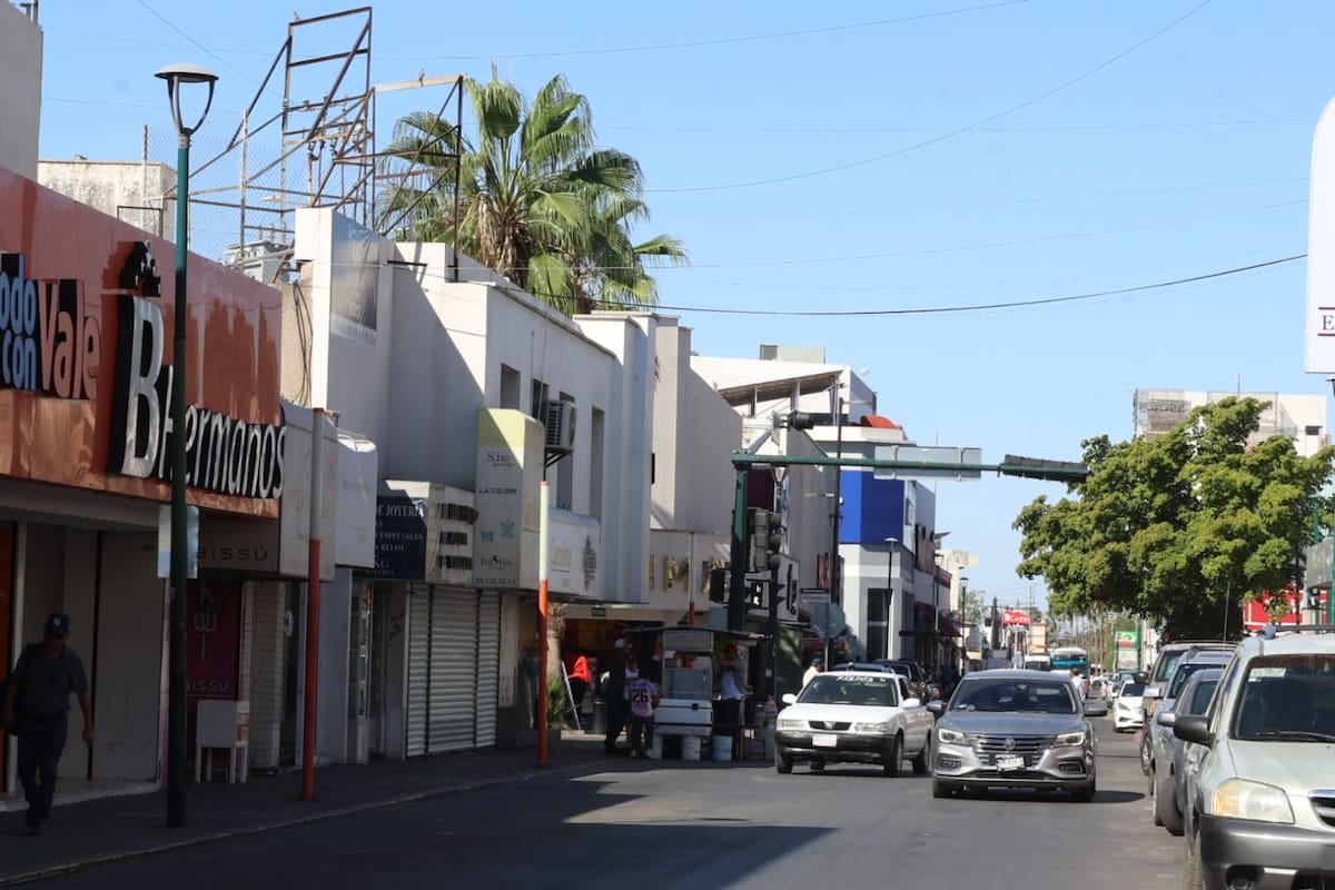 Paloma provoca apagón en el Centro de Hermosillo al chocar con cables de alta tensión