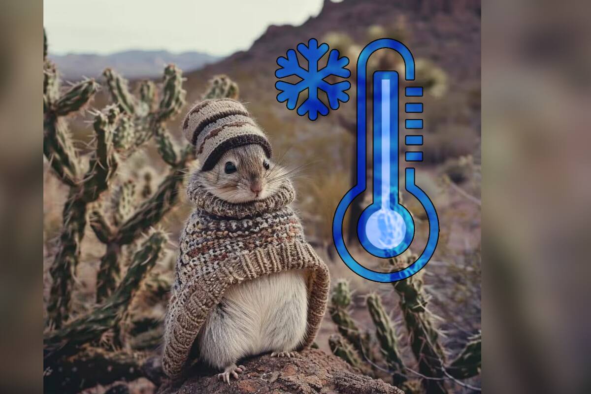 Frente Frío en México, prevén lluvias intensas y oleaje elevado para estos estados