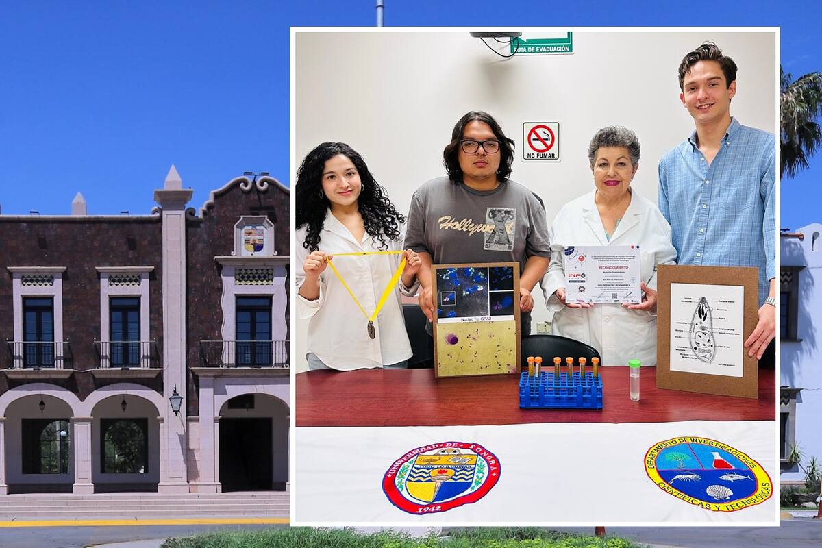 Búhos de la Unison ganan concurso con proyecto de vacuna para esquizofrenia