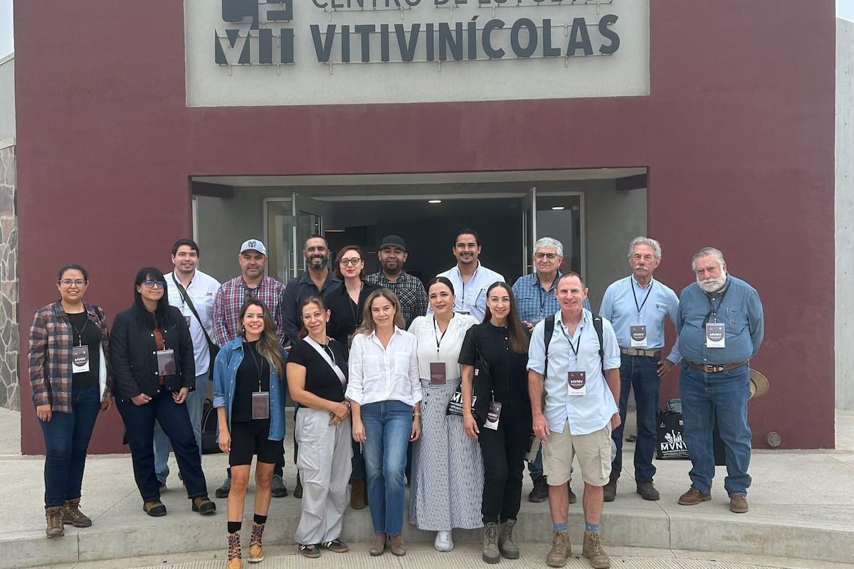 Estudiantes de maestría llevan el aula al Valle de Guadalupe