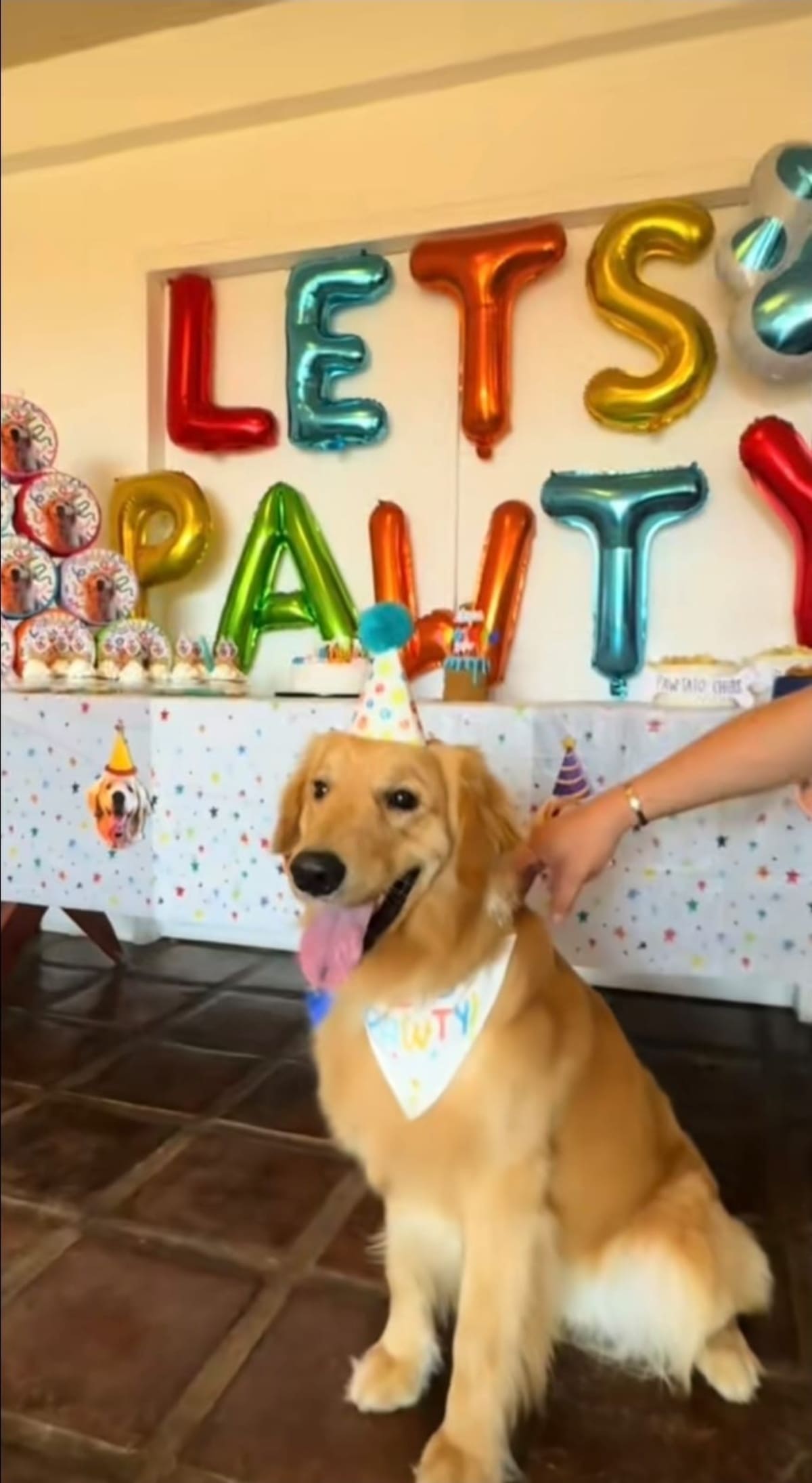 La joven modelo compartía viajes, conciertos y principalmente videos de su perro en TikTok. Foto: Cortesía