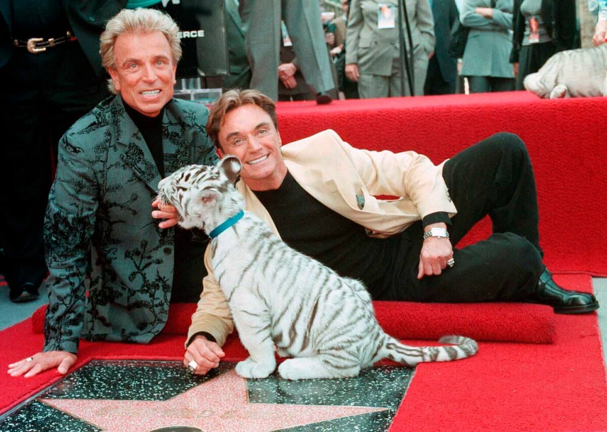 ARCHIVO - Los ilusionistas Siegfried Fischbacher, a la izquierda, y Roy Uwe Ludwig Horn posa con un tigre blanco tras develar su estrella en el Paseo de la Fama de Hollywood el 23 de septiembre de 1994 en Los Angeles. Fischbacher, el miembro sobreviviente de Siegfried & Roy, murió de cáncer en Las Vegas a los 81 años, reportó la agencia alemana de noticias dpa el jueves 14 de enero del 2021. Horn falleció el año pasado de complicaciones de COVID-19 en un hospital de Las Vegas a los 75 años. (AP Foto/Neil Jacobs, Archivo)