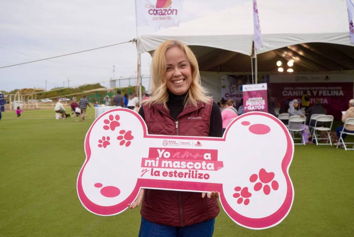 Todo el año se mantiene activo el programa de Zoonosis en los diferentes municipios.