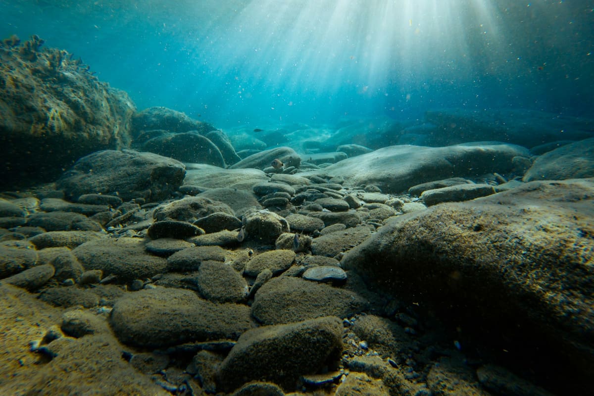 Encuentran “gigante dormido” que llevaba 300 años en el fondo del mar, ¿de qué se trata?