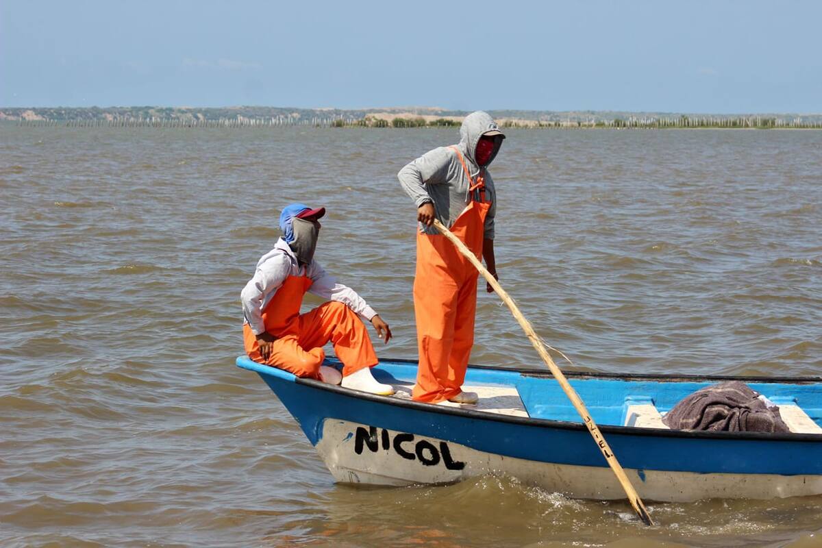 Clima merma primer día de captura de camarón; regresan casi en "blanco"