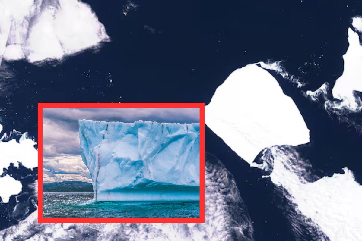 El iceberg A23a, el más grande y antiguo del mundo, se desprende de la Antártida y navega a la deriva | Noticias de México | El Imparcial