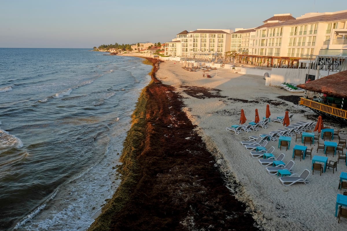 Hoteles de la Riviera Maya instalan barreras privadas contra el sargazo ante recales masivos que podrían superar 90 mil toneladas en Quintana Roo