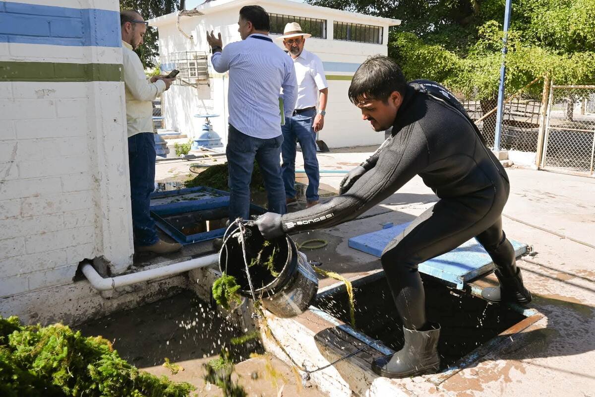 Baja presión de agua en colonias se debe a limpieza de plantas potabilizadoras: Oomapasc
