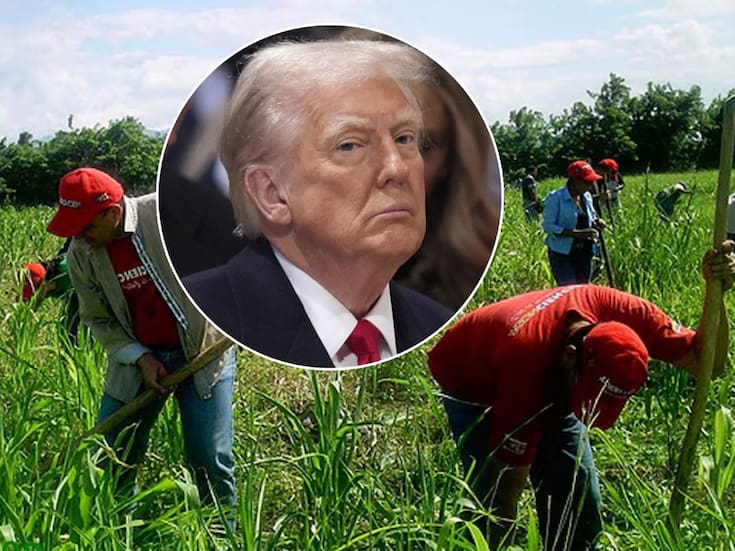 Trump analiza un rescate de  10 mil millones de dólares para agricultores de EEUU afectados por la guerra comercial, la crisis de la soya y la falta de mano de obra
