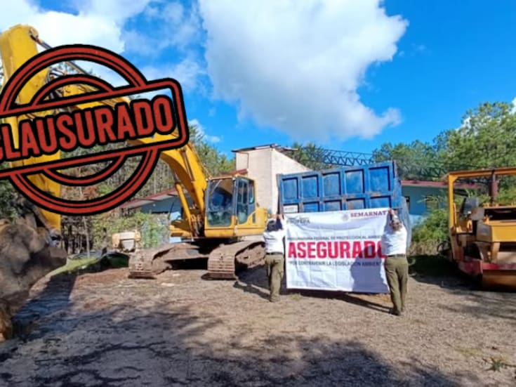 Arrasaron el bosque para vender lotes: Profepa clausura obras ilegales en San Cristóbal de las Casas