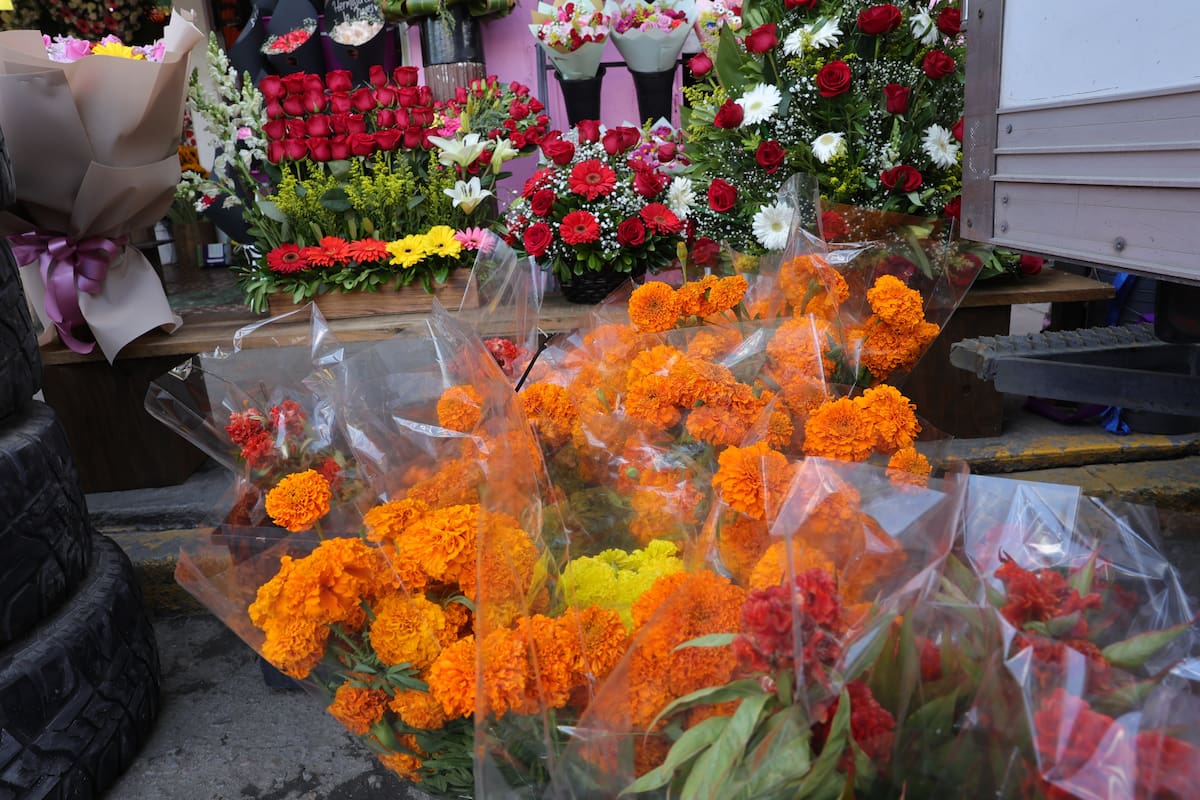 Esperan comerciantes de flores incrementar ventas por Día de muertos