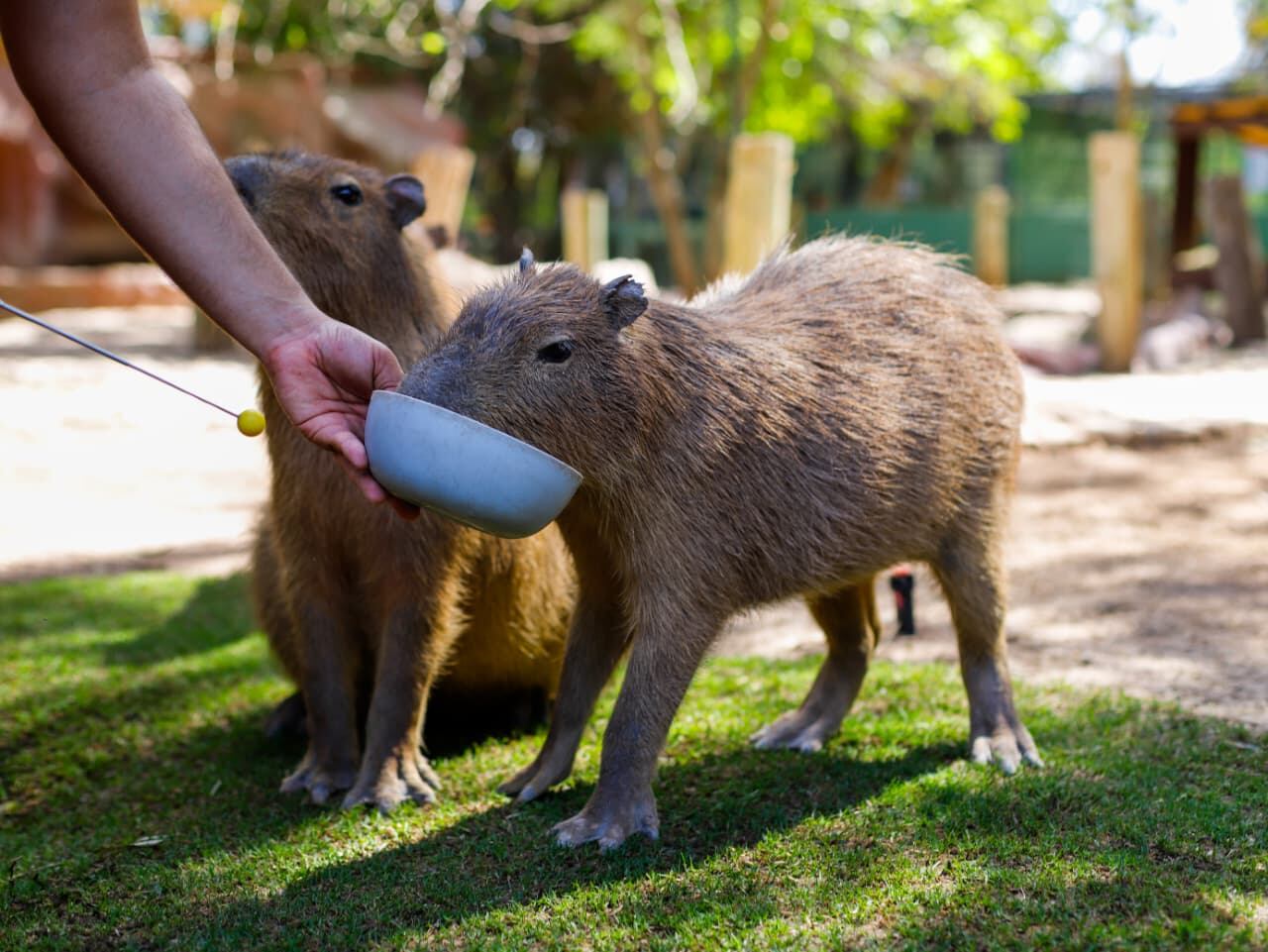 Foto: Juan Jesús Morales