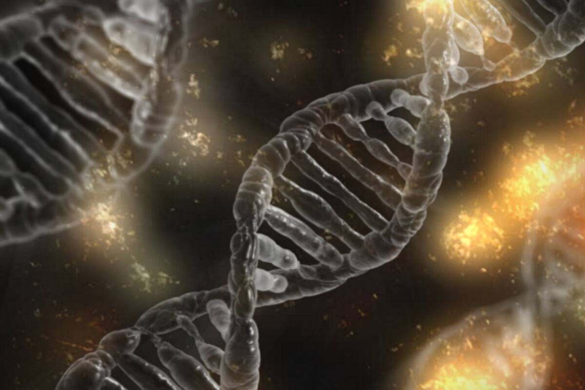 Descubren secuencias de ADN llamadas 'Borgs', absorben genes de organismos ajenos