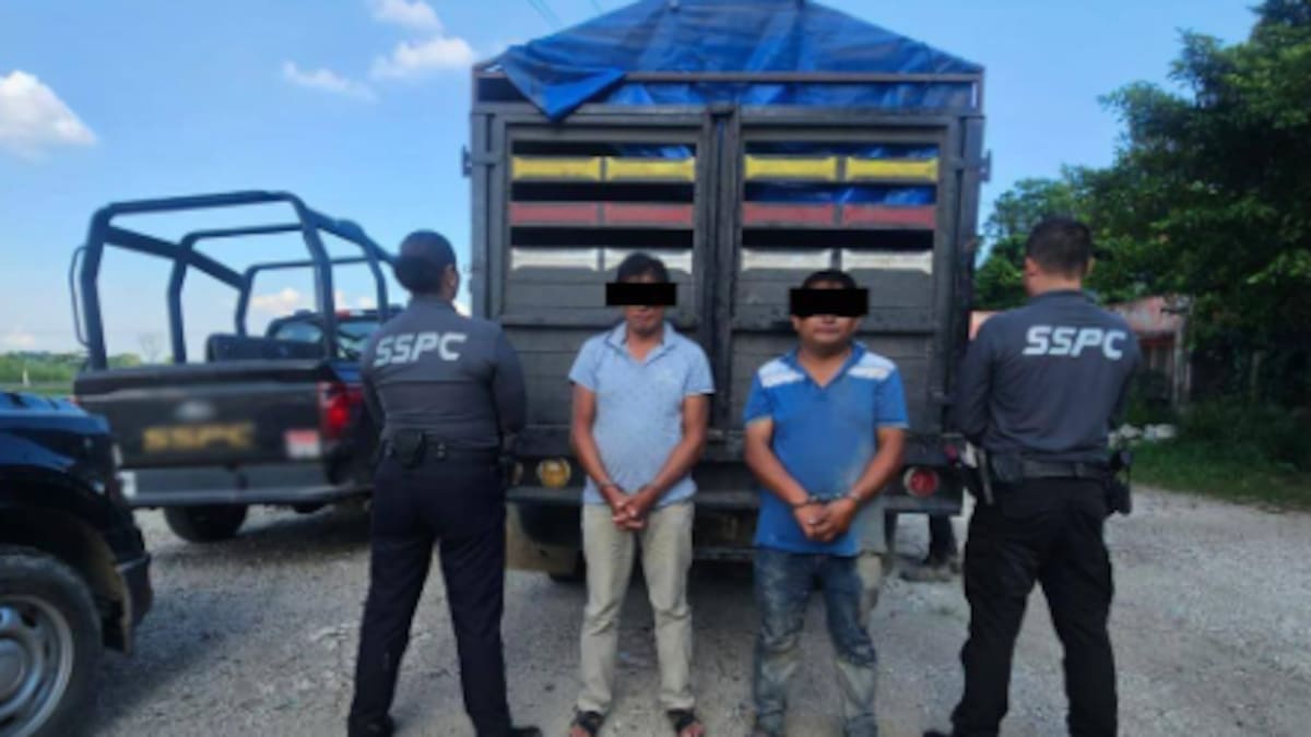 Intervención en carretera: detienen a dos hombres con 300 kilos de marihuana en Tabasco
