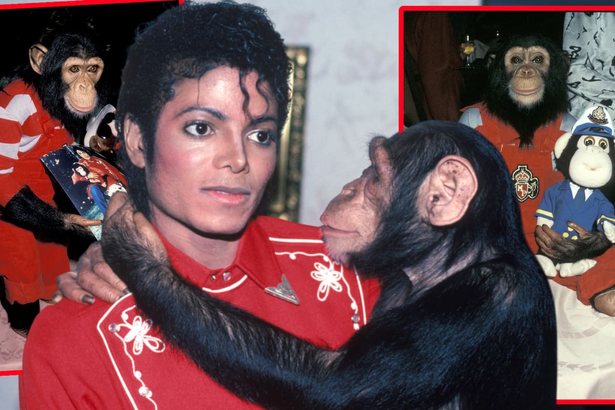¿Qué pasó con Bubbles? El chimpancé de Michael Jackson