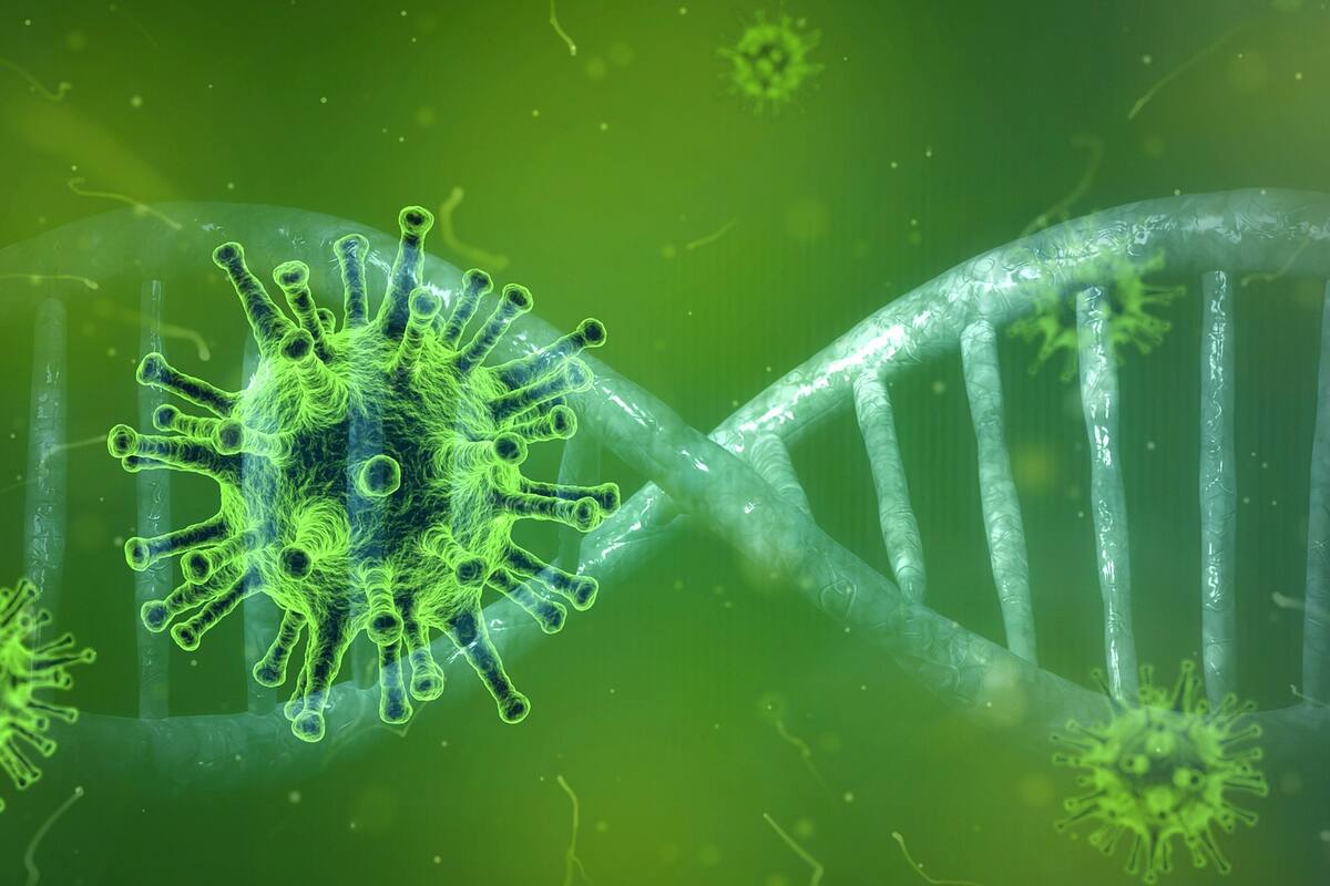 COVID-19: Científicos encuentran una posible inmunidad al coronavirus sin la presencia de anticuerpos, pero sí en células T